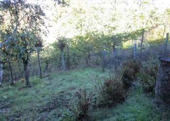 Rustico Vigliano d'Asti - foto 18