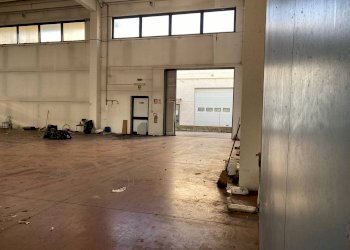 Shed via Bruno Buozzi, Granarolo dell'Emilia - photo 6