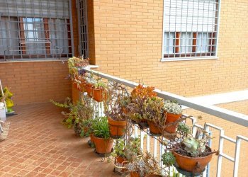 balcone - Quadrilocale Via Accumoli, Roma - foto 10