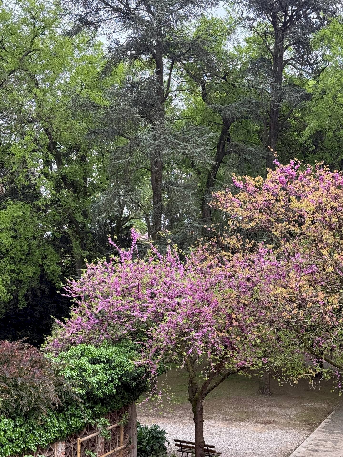 Appartamento Mantova - foto 1