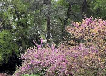 Appartamento Mantova - foto 1