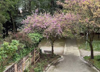 Appartamento Mantova - foto 18