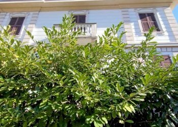 IMG-20221123-WA0018.jpg - Casa indipendente Aulla - foto 6