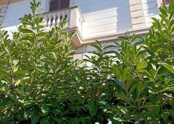 IMG-20221123-WA0017.jpg - Casa indipendente Aulla - foto 7