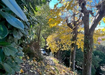 IMG  2022-11-23 ..jpeg - Casa indipendente Aulla - foto 30