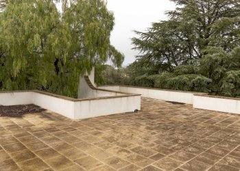 _MG_1391.jpg - Villa LAMARDILLA, Ostuni - foto 17