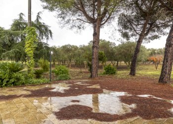 _MG_1421.jpg - Villa LAMARDILLA, Ostuni - foto 29