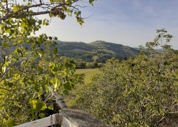 Stabile - Palazzo Castelnuovo Don Bosco - foto 6