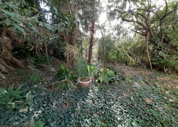 Stabile - Palazzo Castelnuovo Don Bosco - foto 8