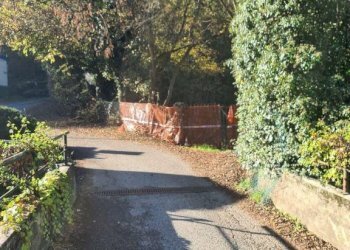 Terreno edificabile Baldissero Torinese - foto 9