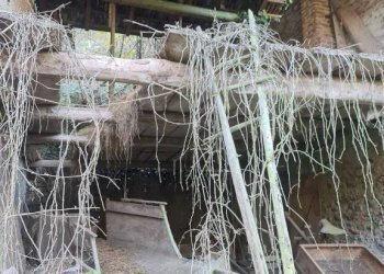 Terreno edificabile Baldissero Torinese - foto 10