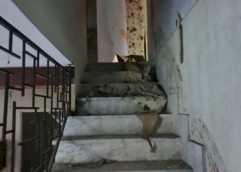 Terreno edificabile Baldissero Torinese - foto 16