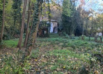 Rustic Baldissero Torinese - photo 8