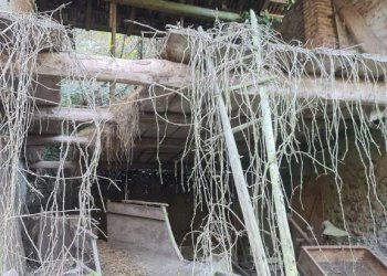 Rustic Baldissero Torinese - photo 9