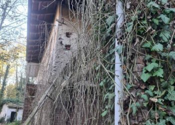 Rustic Baldissero Torinese - photo 10