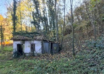 Rustic Baldissero Torinese - photo 11