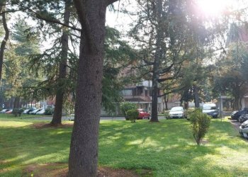 viste - Trilocale via Don Giacomo Lattuada, 14, Rho - foto 2