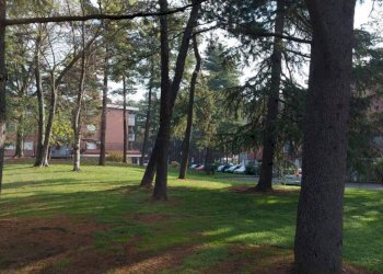 viste - Trilocale via Don Giacomo Lattuada, 14, Rho - foto 10