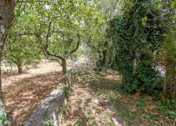 Rustico Locorotondo - foto 40