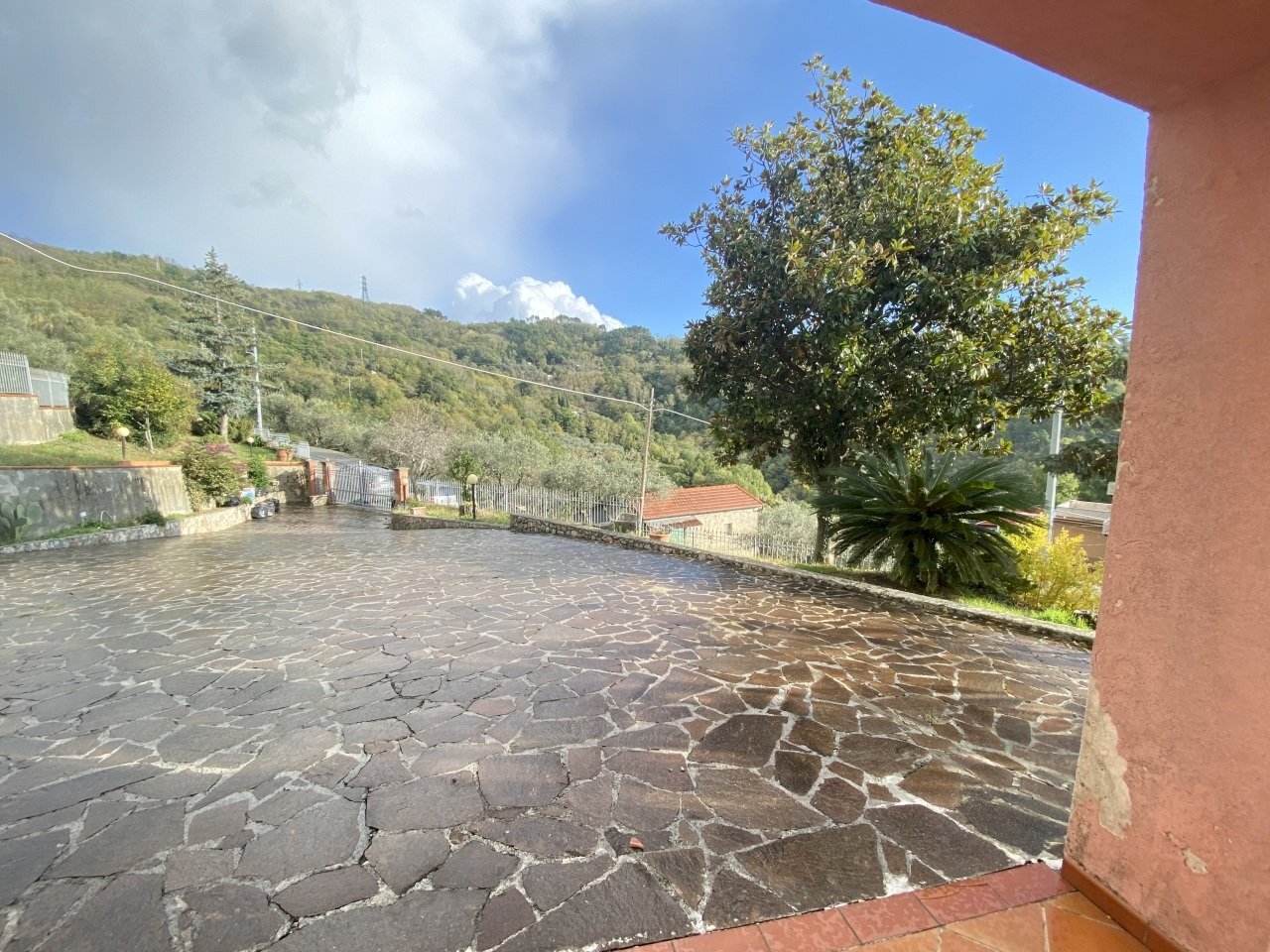 IMG_8804.JPG - Independent house Sarzana - photo 2