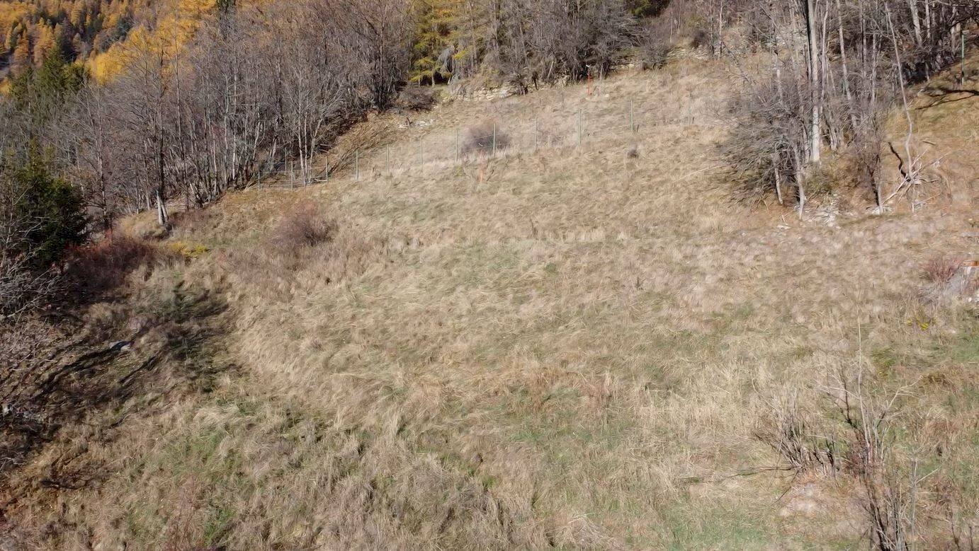 Building land Rue de Chavanne, Saint-Oyen - photo 3