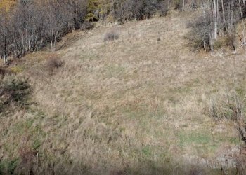 Terreno residenziale Rue de Chavanne, Saint-Oyen - foto 4