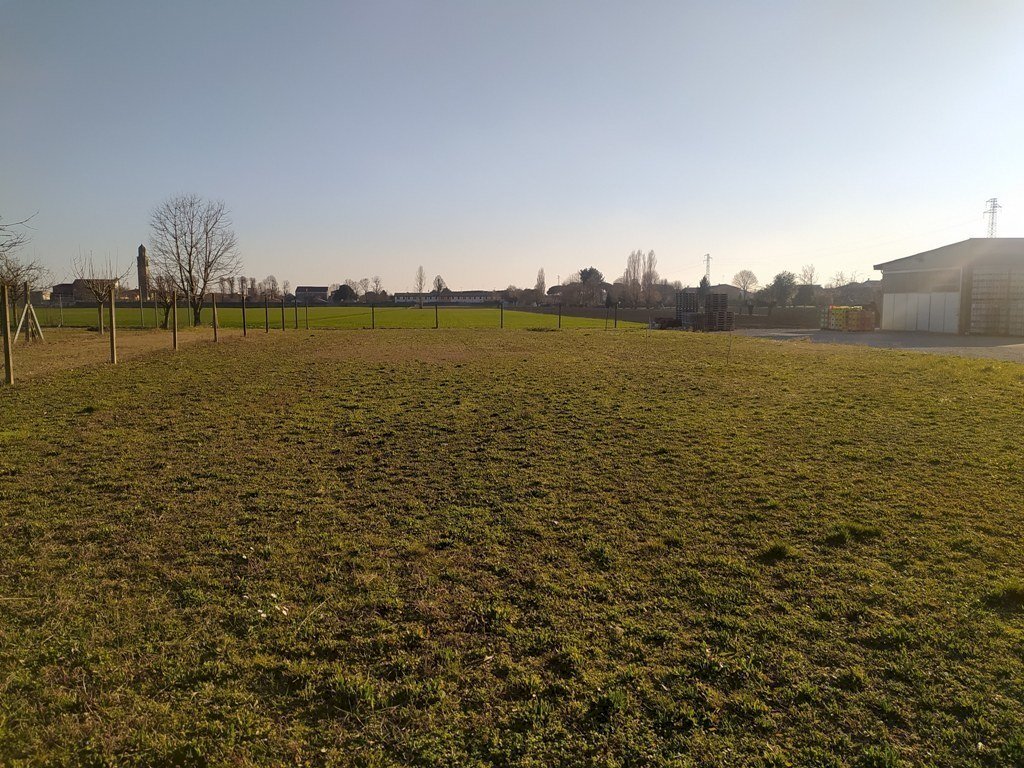 IMG_20220222_161128.jpg - Terreno edificabile Via Ghetto, Pontecchio Polesine - foto 3