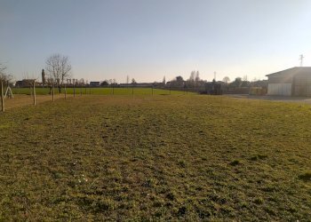 IMG_20220222_161128.jpg - Terreno edificabile Via Ghetto, Pontecchio Polesine - foto 3