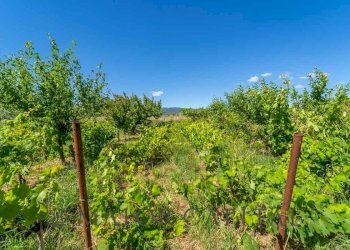 Independent house Località Gunnas, Posada - photo 23