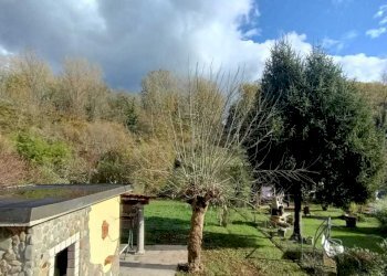 IMG-20221128-WA0054.jpg - Terratetto - Terracielo Filattiera - foto 4