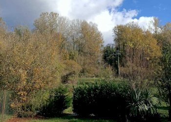 IMG-20221128-WA0042.jpg - Terratetto - Terracielo Filattiera - foto 5