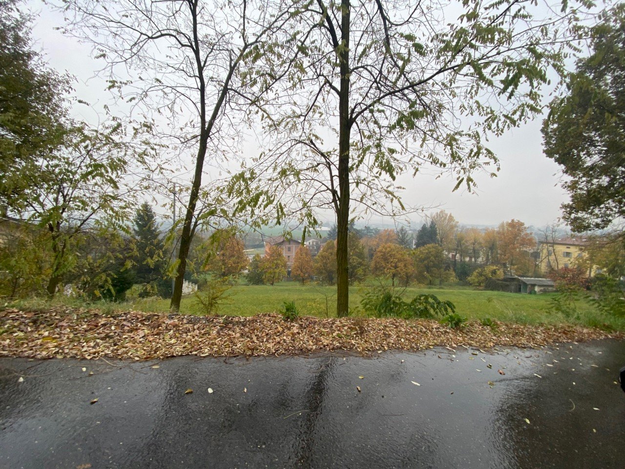 1.jpg - Building land Medesano, Medesano - photo 2