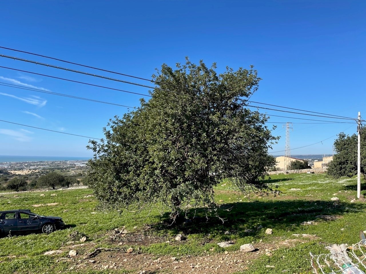 IMG_9657.jpg - Terreno agricolo Contrada San Marco, Scicli - foto 2