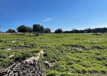 IMG_9659.jpg - Agricultural land Contrada San Marco, Scicli - photo 4