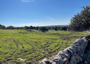 IMG_9661.jpg - Agricultural land Contrada San Marco, Scicli - photo 6