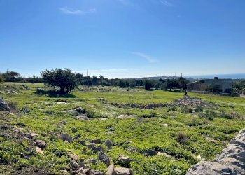 IMG_9663.jpg - Agricultural land Contrada San Marco, Scicli - photo 8
