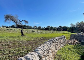 IMG_9670.jpg - Agricultural land Contrada San Marco, Scicli - photo 11
