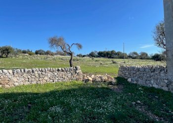 IMG_9673.jpg - Agricultural land Contrada San Marco, Scicli - photo 14
