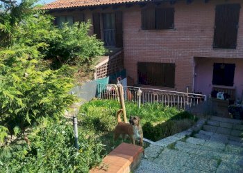 Villa a Schiera Via Varsellane 21, 21, frazione Montepastore, Monte San Pietro - foto 13