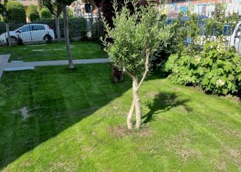 Appartamento in Villa Via Plessi s.n.c., 8, Vignola - foto 14