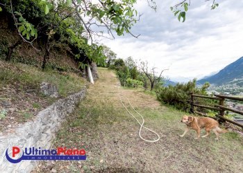 Terreno edificabile frazione Peravere, Sarre - foto 15