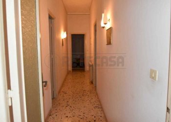 74915f93-675b-434b-9c33-64677457d259.jpg - Terratetto - Terracielo Marsala - foto 27