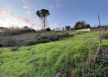 IMG-7963.jpg - Terreno edificabile Via del Monte 3, Morlupo - foto 5