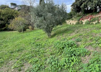 IMG-20211114-WA0014.jpg - Terreno edificabile Via della lira, Rignano Flaminio - foto 5