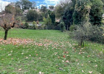 IMG-20211114-WA0024.jpg - Terreno edificabile Via della lira, Rignano Flaminio - foto 15