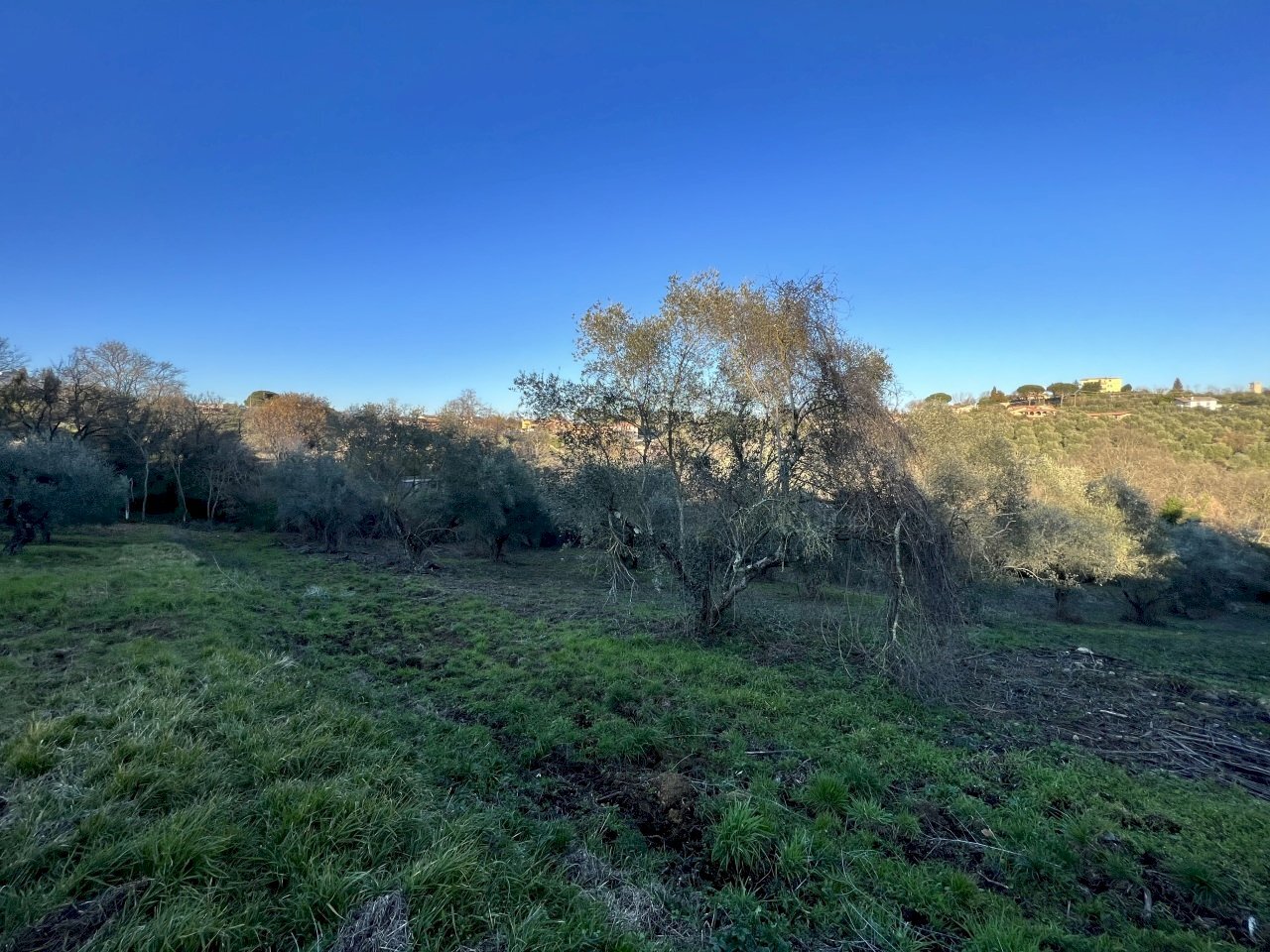IMG-8174.jpg - Terreno agricolo Strada n'1 25, Morlupo - foto 3