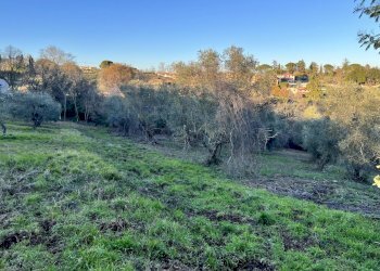 IMG-8172.jpg - Terreno agricolo Strada n'1 25, Morlupo - foto 1