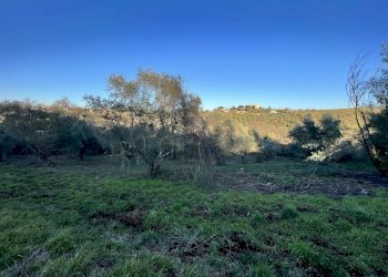 IMG-8173.jpg - Terreno agricolo Strada n'1 25, Morlupo - foto 2