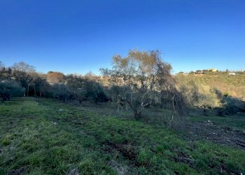 IMG-8174.jpg - Terreno agricolo Strada n'1 25, Morlupo - foto 3