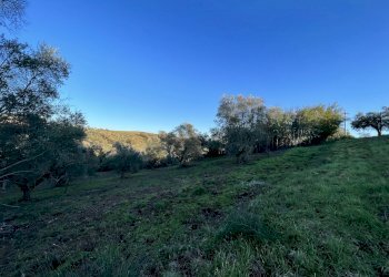 IMG-8175.jpg - Terreno agricolo Strada n'1 25, Morlupo - foto 4